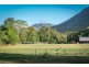 291 Mowbray River Road, Mowbray QLD 4877