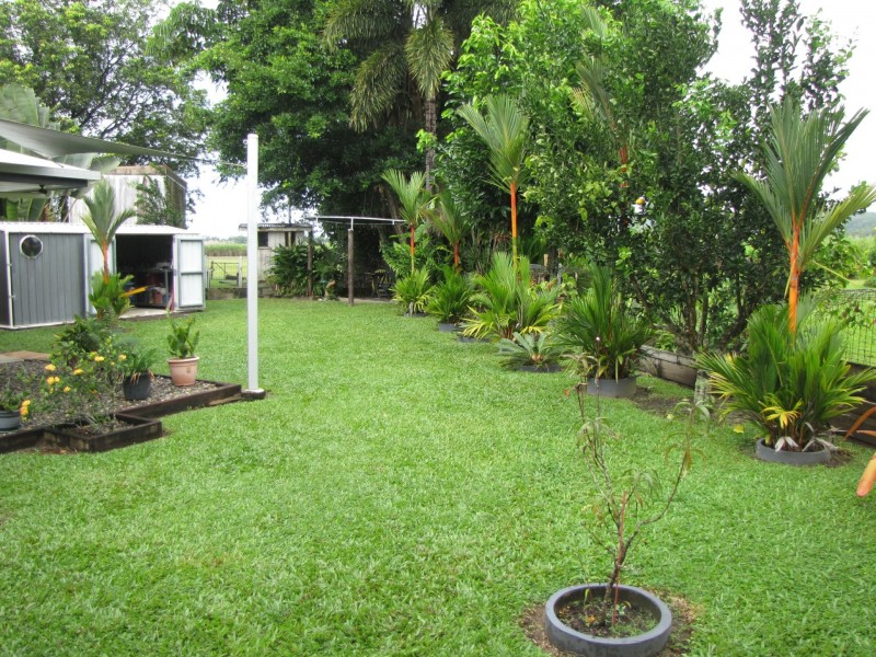 4 Riverside Village/133 Miallo Road, Miallo QLD 4873