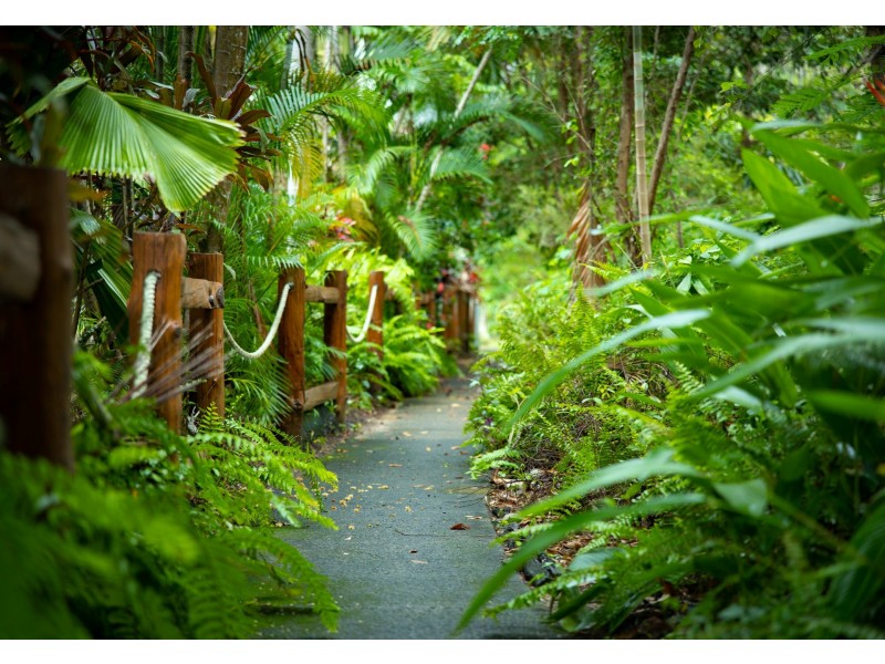 1 Yumba Close, Wonga Beach QLD 4873
