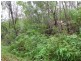 Lot 2 Thornton Peak Drive, Daintree QLD 4873