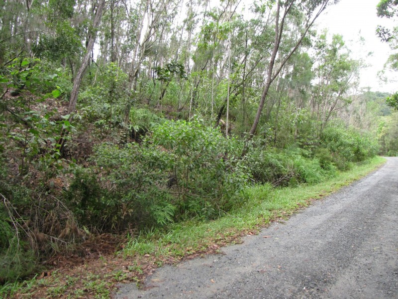 Lot 2 Thornton Peak Drive, Daintree QLD 4873