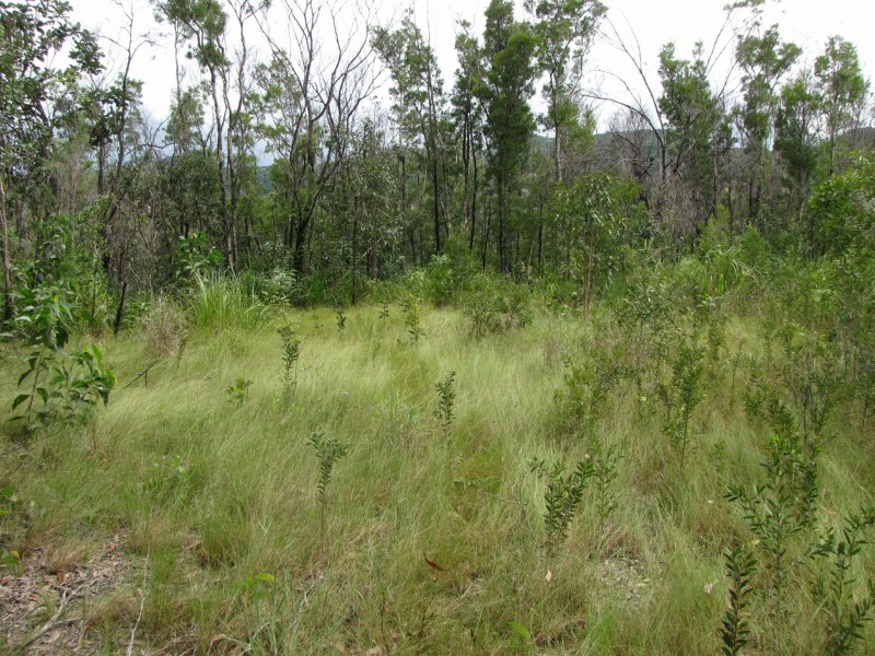 Lot 2 Thornton Peak Drive, Daintree QLD 4873