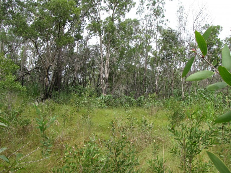 Lot 2 Thornton Peak Drive, Daintree QLD 4873