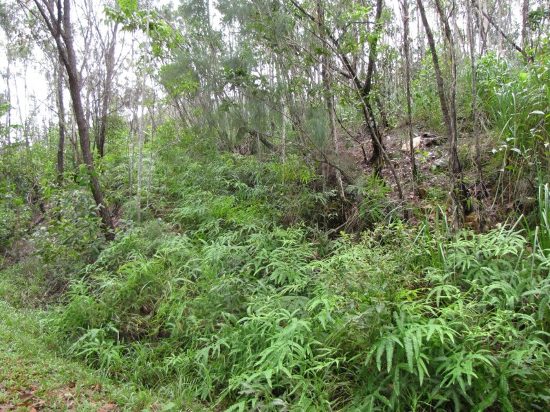 Lot 2 Thornton Peak Drive, Daintree QLD 4873