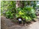 B204 Ramada/316 Port Douglas Road, Port Douglas QLD 4877