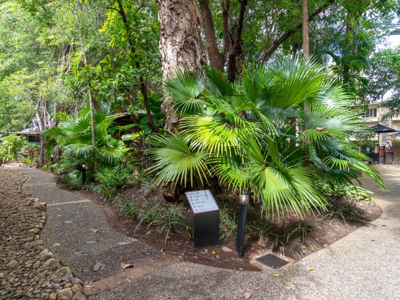 B204 Ramada/316 Port Douglas Road, Port Douglas QLD 4877