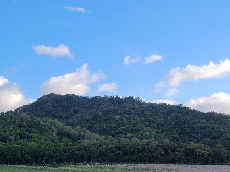 73 Cooya Beach Road, Cooya Beach QLD 4873