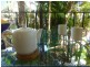 42 Reef Club/64 Davidson Street, Port Douglas QLD 4877
