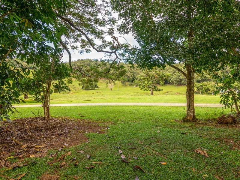 15-17 Daly Street, Daintree QLD 4873