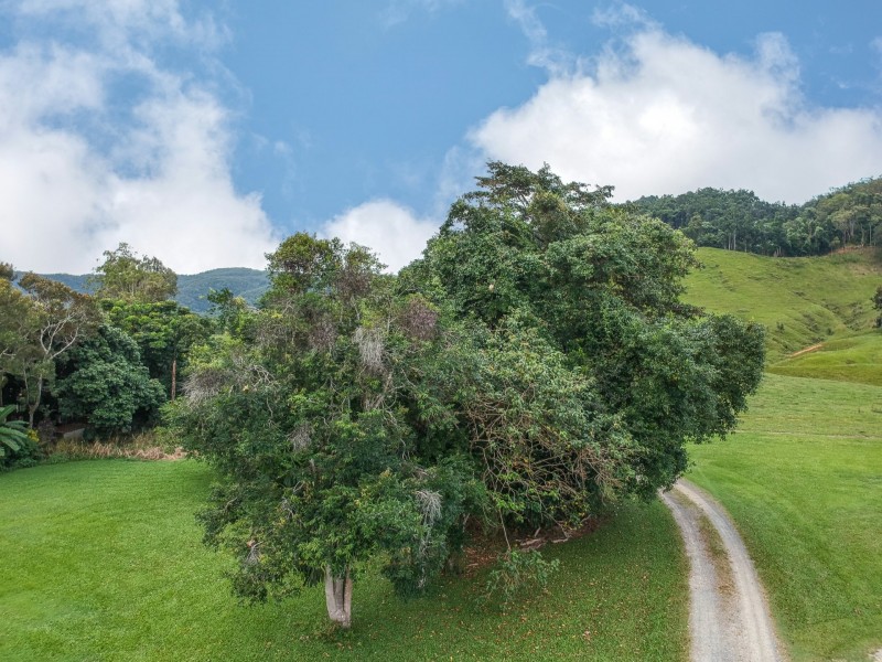 15-17 Daly Street, Daintree QLD 4873