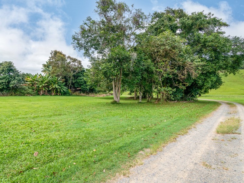 15-17 Daly Street, Daintree QLD 4873