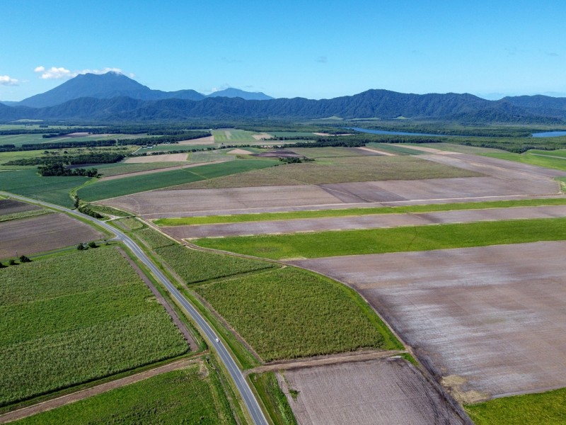 0 Mossman Daintree Road, Daintree QLD 4873