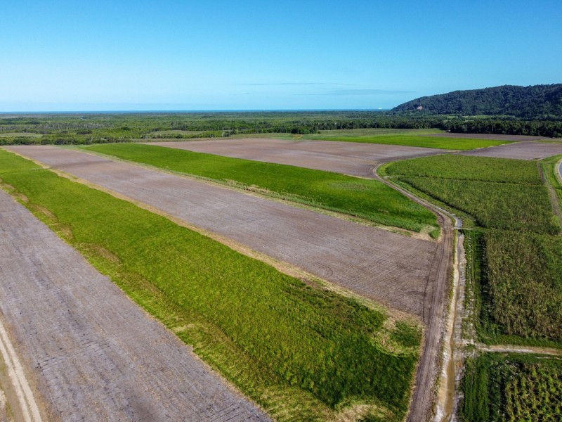 0 Mossman Daintree Road, Daintree QLD 4873