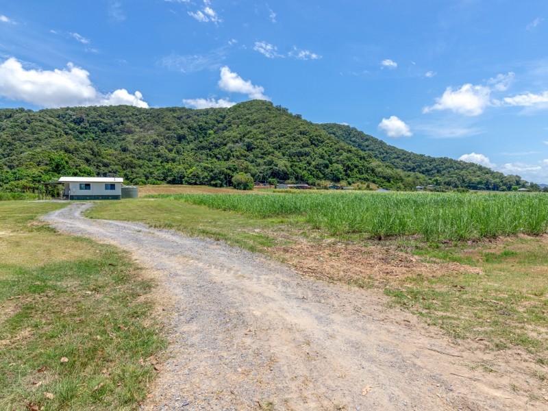 0 Mossman Daintree Road, Daintree QLD 4873
