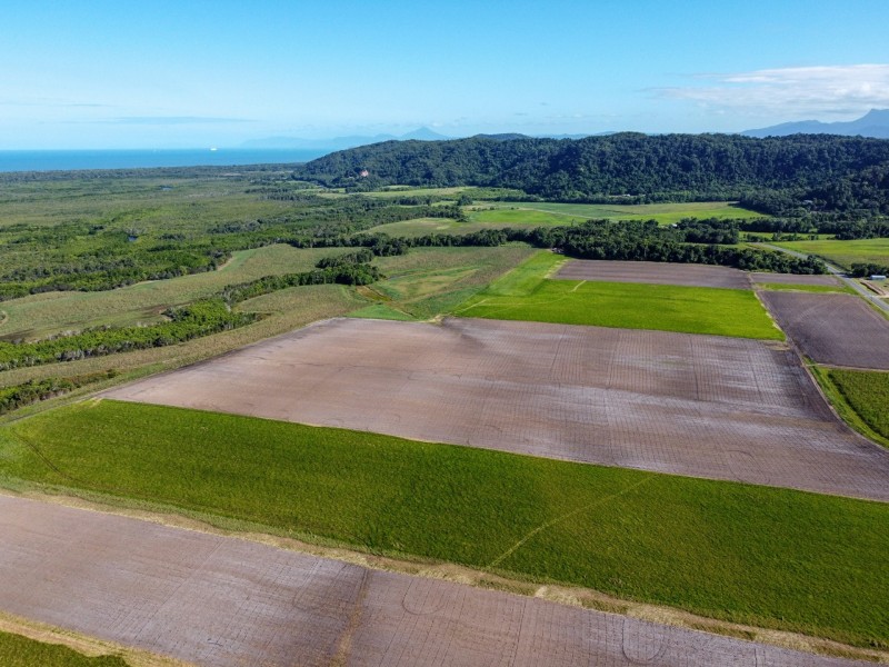 0 Mossman Daintree Road, Daintree QLD 4873