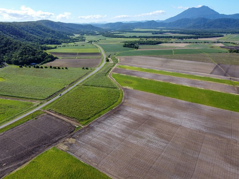 0 Mossman Daintree Road, Daintree QLD 4873