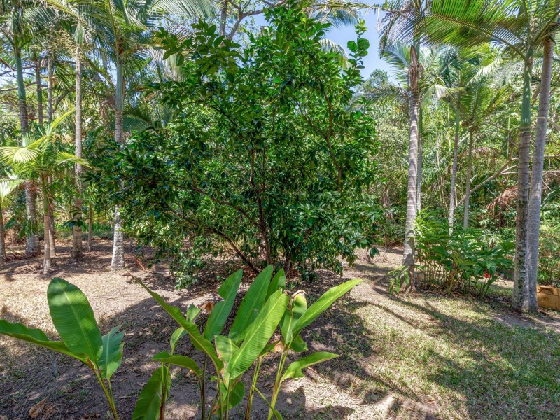 Lot 1 Bougainvillea Street, Cooya Beach QLD 4873