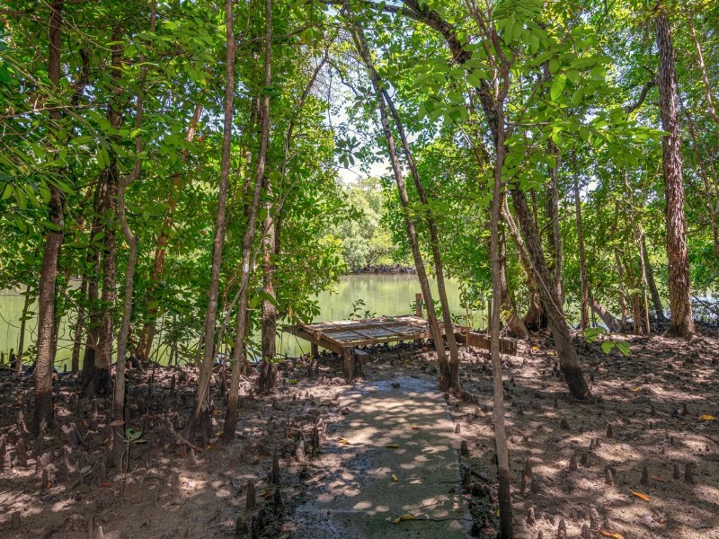 Lot 1 Bougainvillea Street, Cooya Beach QLD 4873