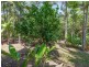 Lot 1 Bougainvillea Street, Cooya Beach QLD 4873