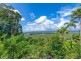 6 Milky Pine Road, Daintree QLD 4873