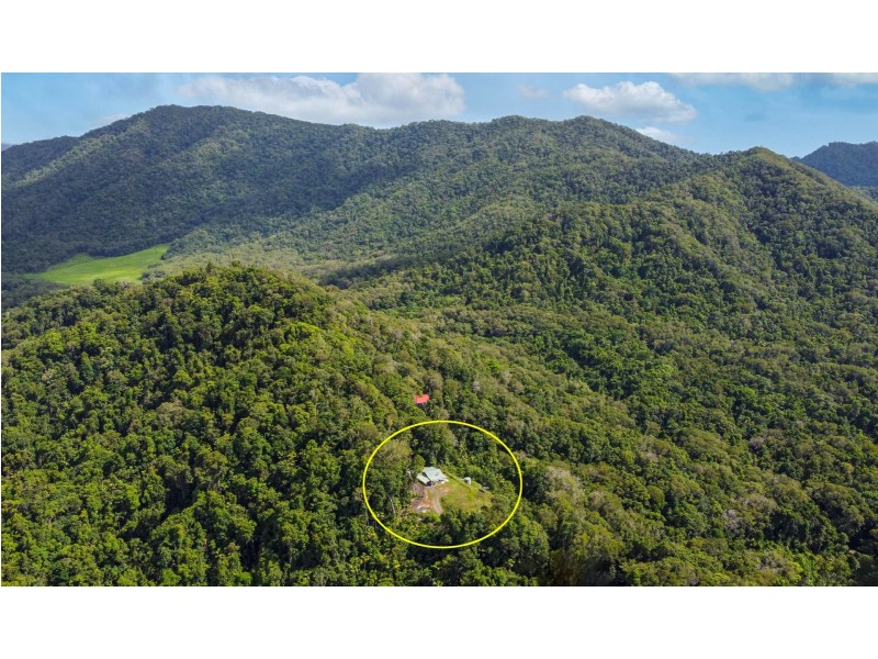 6 Milky Pine Road, Daintree QLD 4873