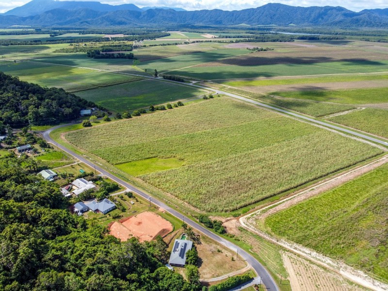 74 De Meio Drive, Lower Daintree QLD 4873