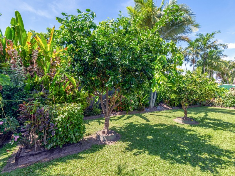 10 Brolga Street, Port Douglas QLD 4877