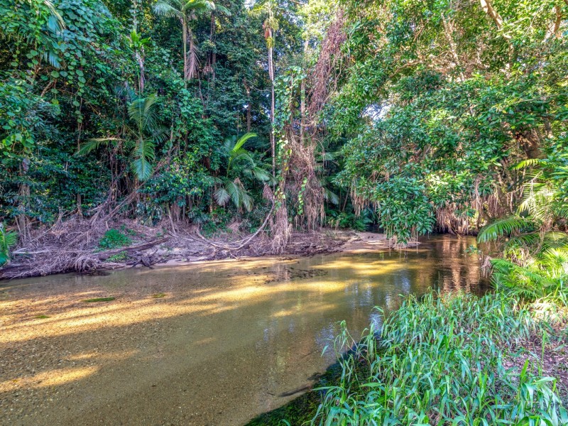 334 Miallo Bamboo Creek Road, Whyanbeel QLD 4873