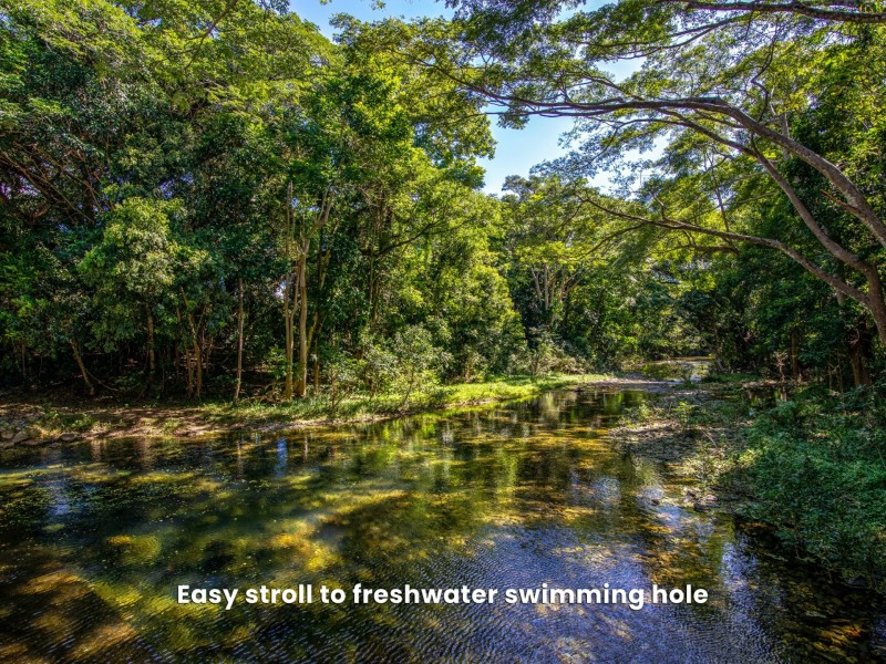 332 Mowbray River Road, Mowbray QLD 4877