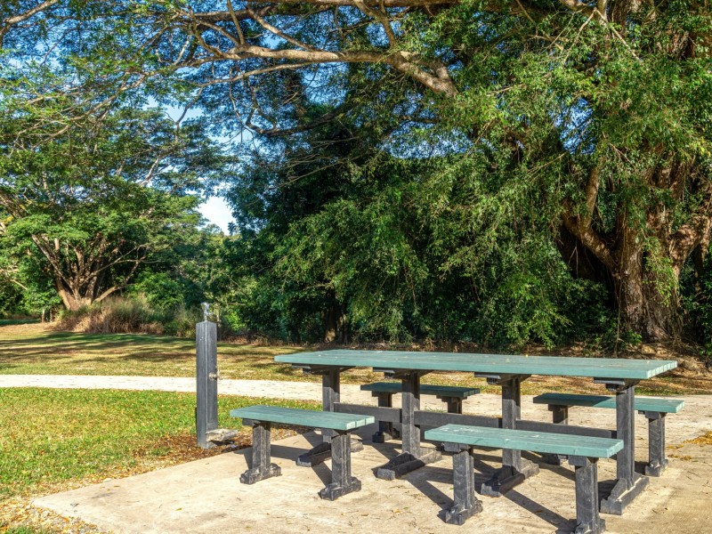 332 Mowbray River Road, Mowbray QLD 4877