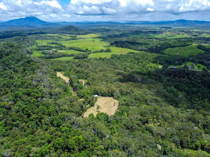 168 Nine Mile Road, Julatten QLD 4871