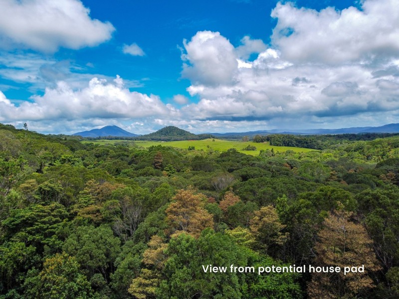 168 Nine Mile Road, Julatten QLD 4871