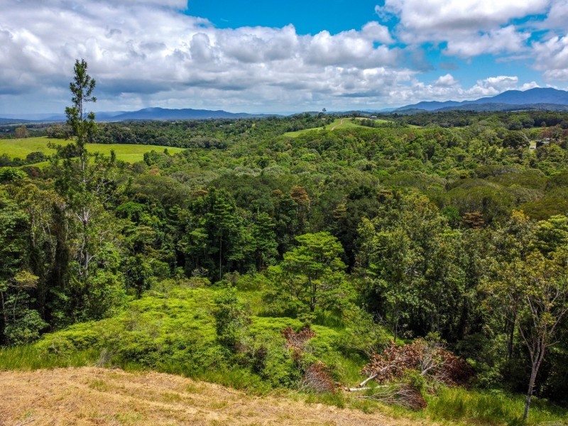 168 Nine Mile Road, Julatten QLD 4871