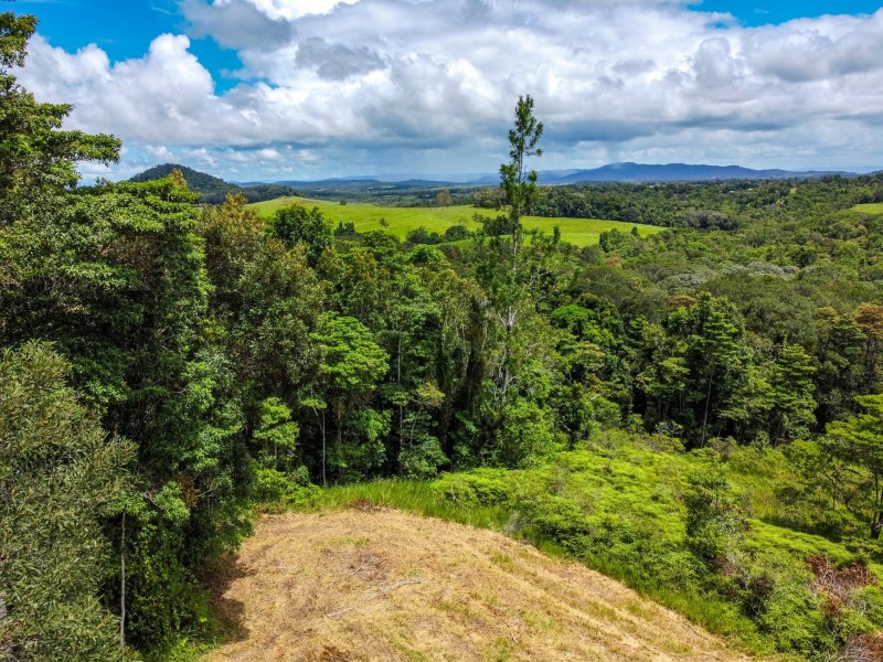 168 Nine Mile Road, Julatten QLD 4871