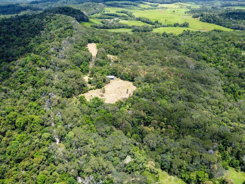 168 Nine Mile Road, Julatten QLD 4871