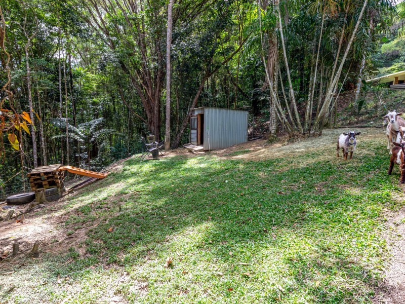 1651 Mossman Mount Molloy Road, Julatten QLD 4871