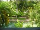1/1 Blake Street, Cascades, Port Douglas QLD 4877