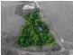 68 Lower Cassowary Road, Cassowary QLD 4873