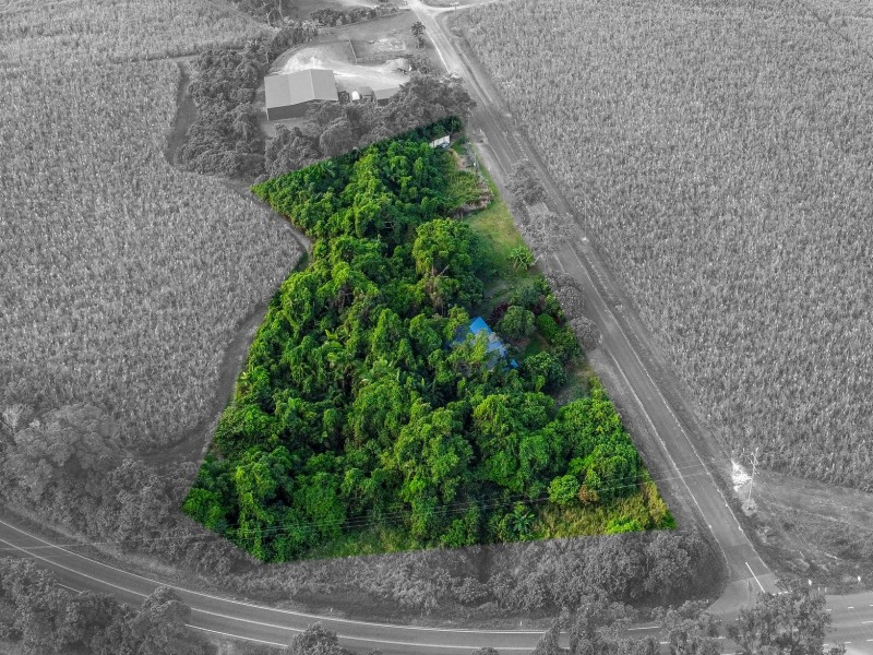 68 Lower Cassowary Road, Cassowary QLD 4873