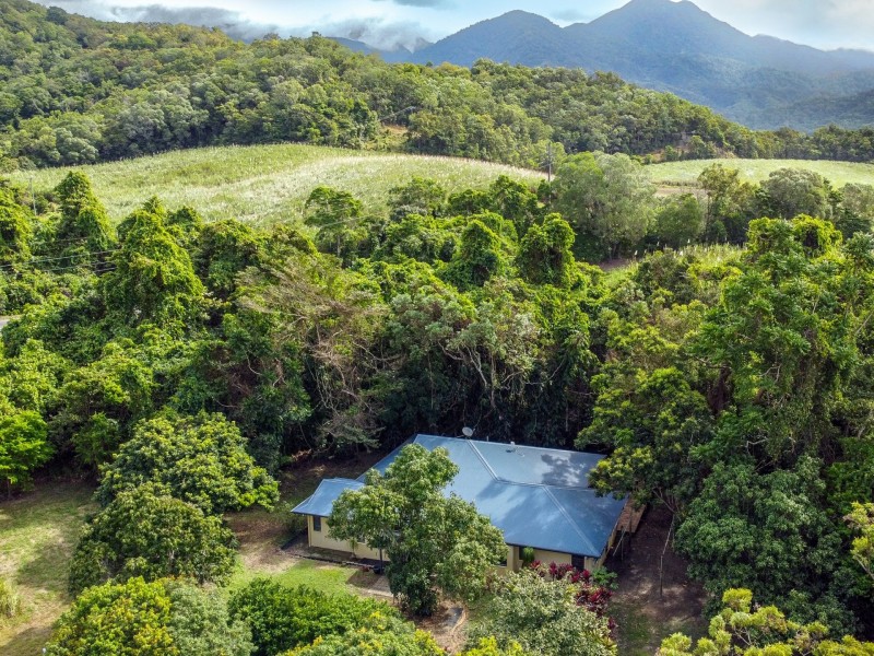 68 Lower Cassowary Road, Cassowary QLD 4873