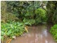 195 Highland Drive, Julatten QLD 4871