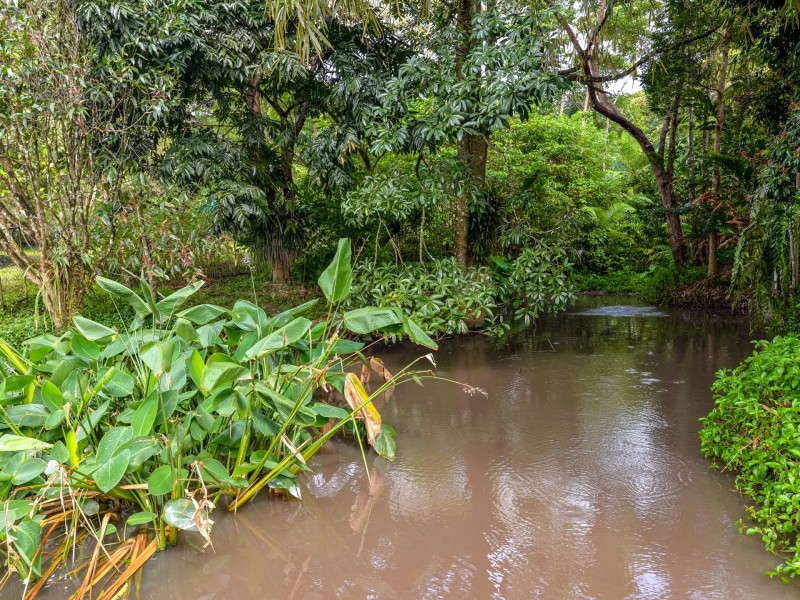 195 Highland Drive, Julatten QLD 4871