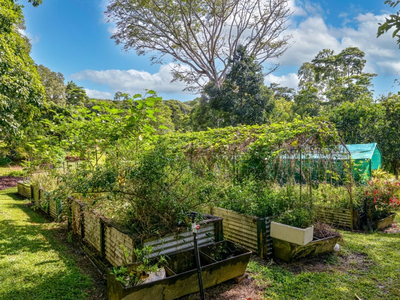195 Highland Drive, Julatten QLD 4871
