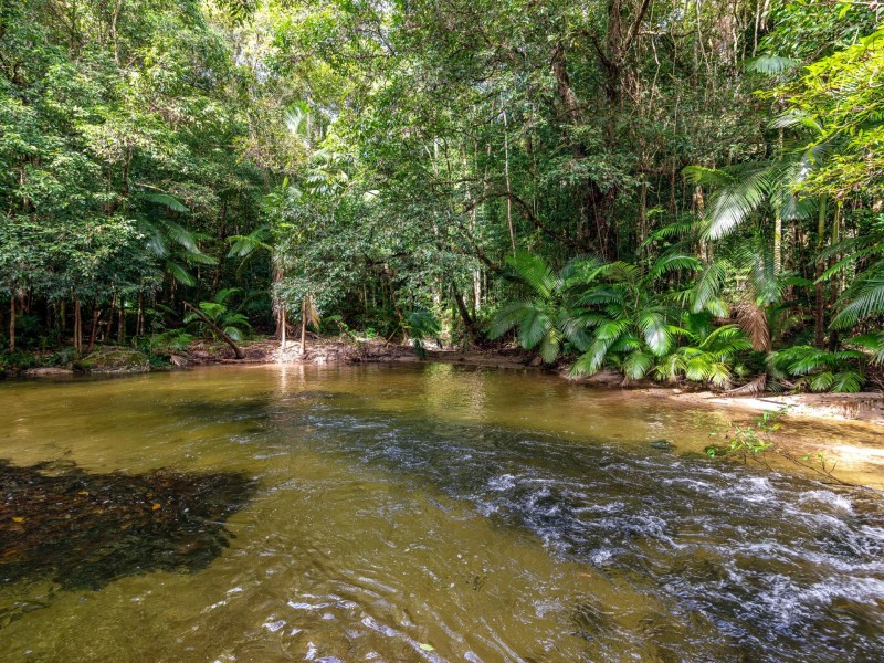 100 Churchill Creek Road, Julatten QLD 4871