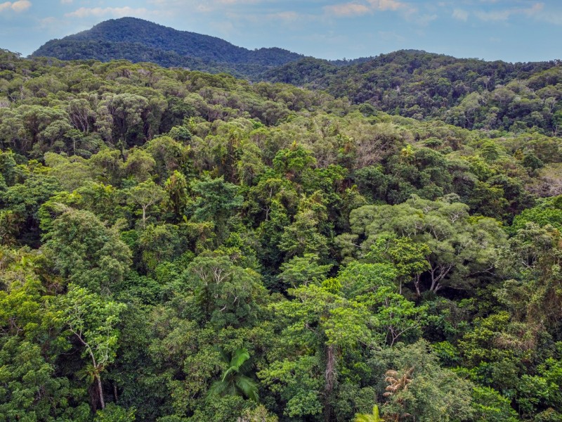 100 Churchill Creek Road, Julatten QLD 4871