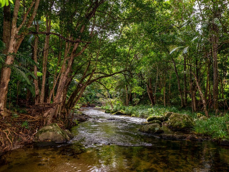 100 Churchill Creek Road, Julatten QLD 4871