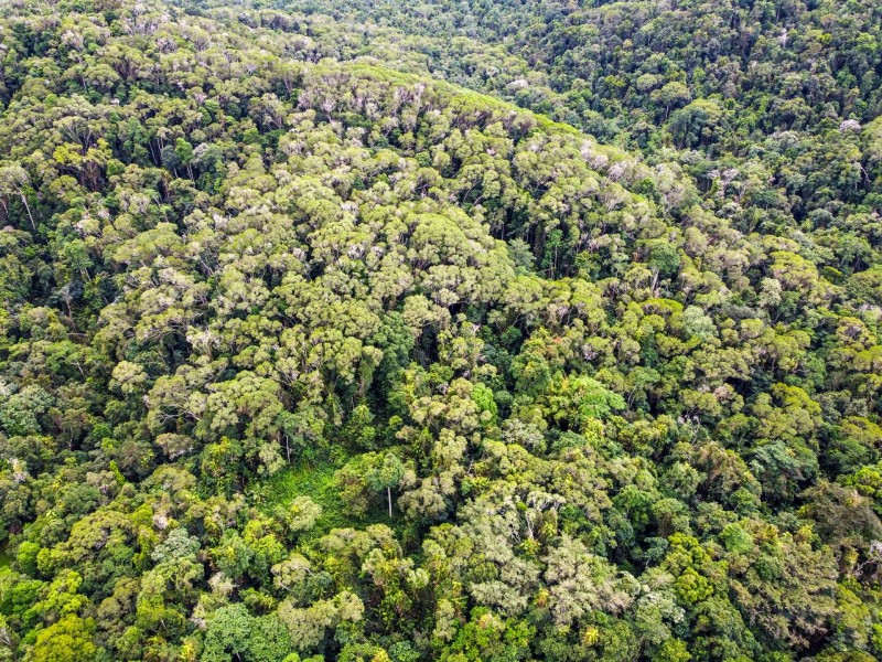 100 Churchill Creek Road, Julatten QLD 4871