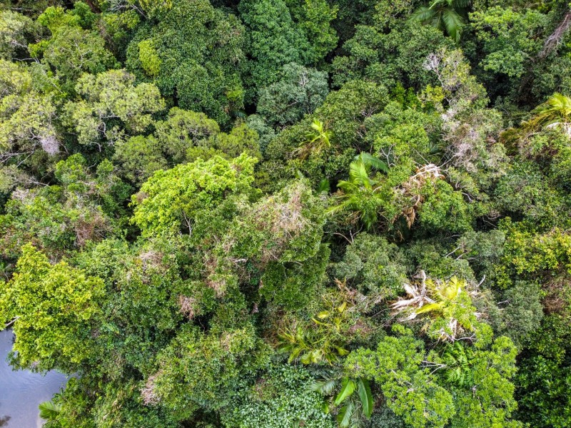 100 Churchill Creek Road, Julatten QLD 4871