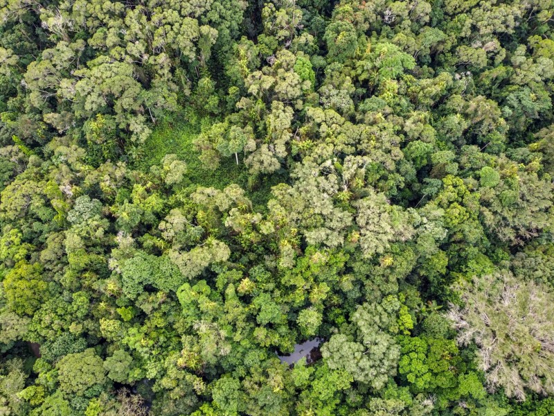 100 Churchill Creek Road, Julatten QLD 4871