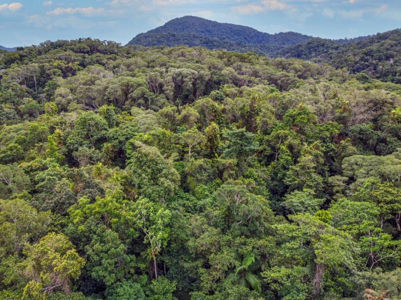 100 Churchill Creek Road, Julatten QLD 4871